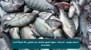 أسعار يومية.. تحديثات سوق العبور تكشف عن البلطي بـ82 جنيهاً الأحد 31-8-2025